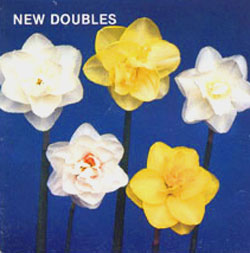 NEW DOUBLES